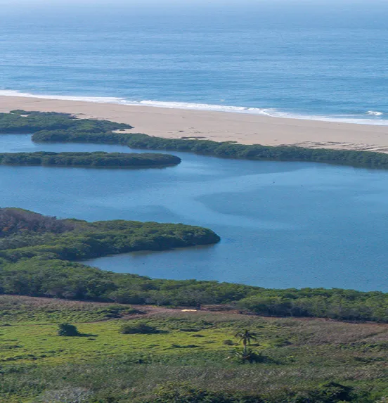 Vista playa y naturaleza
